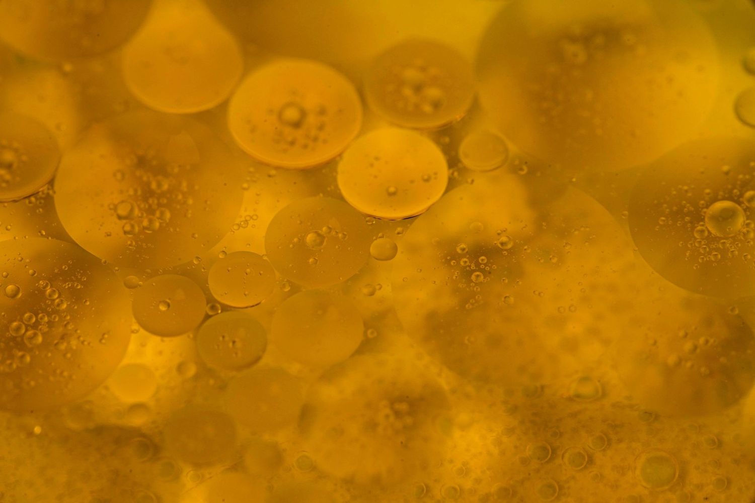 Seasonal Body Oil: GOLD Seasonal Body Oil: GOLD
