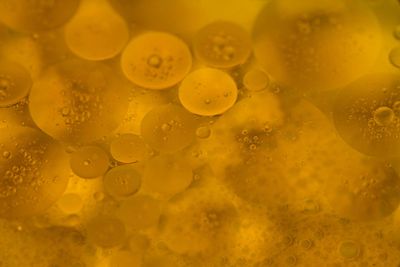 Seasonal Body Oil: GOLD Seasonal Body Oil: GOLD