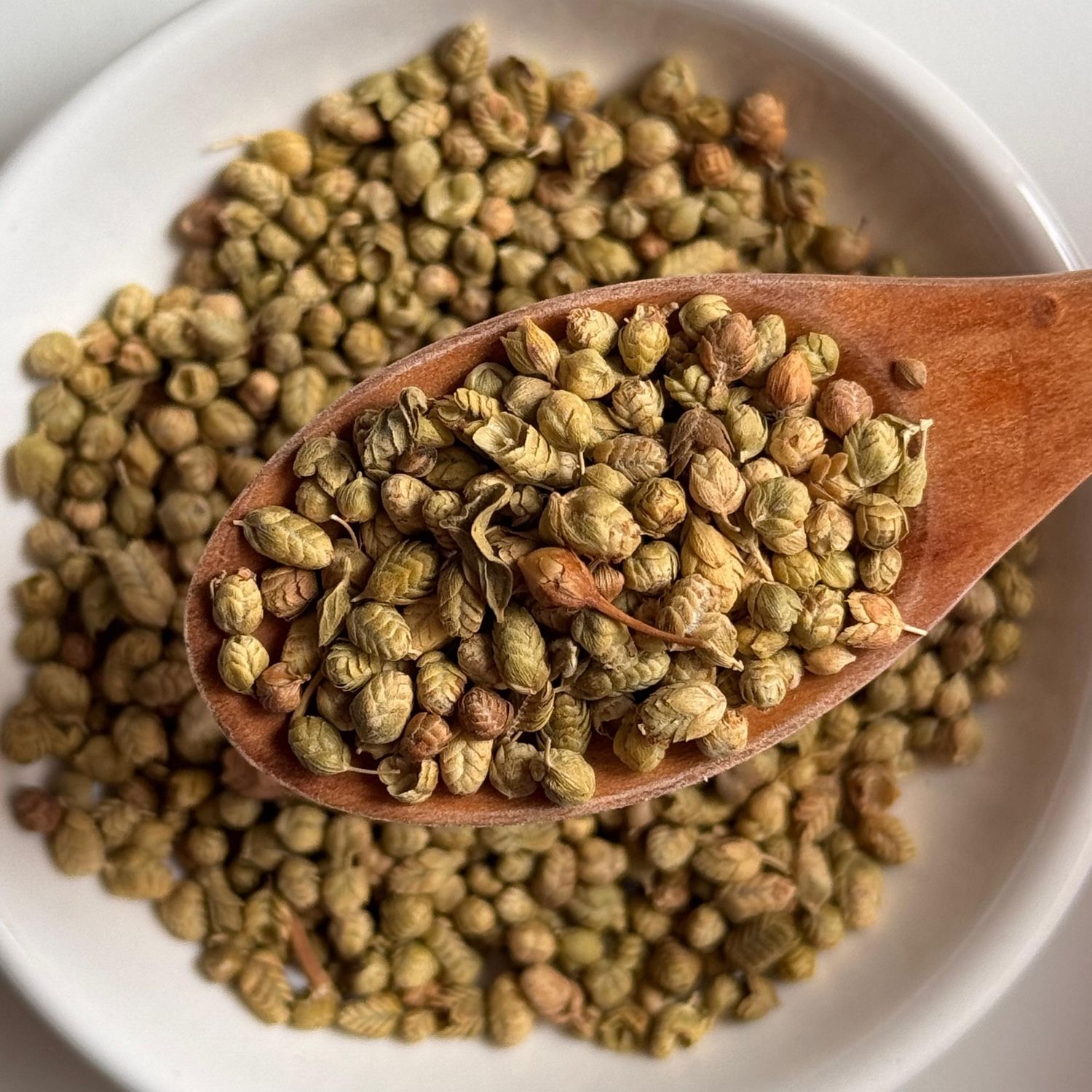 Wild mountain thyme buds
