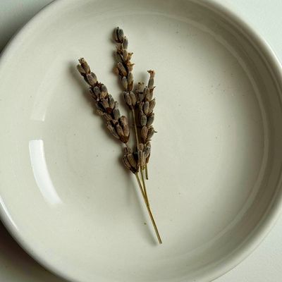 Lavender stalks Lavender stalks