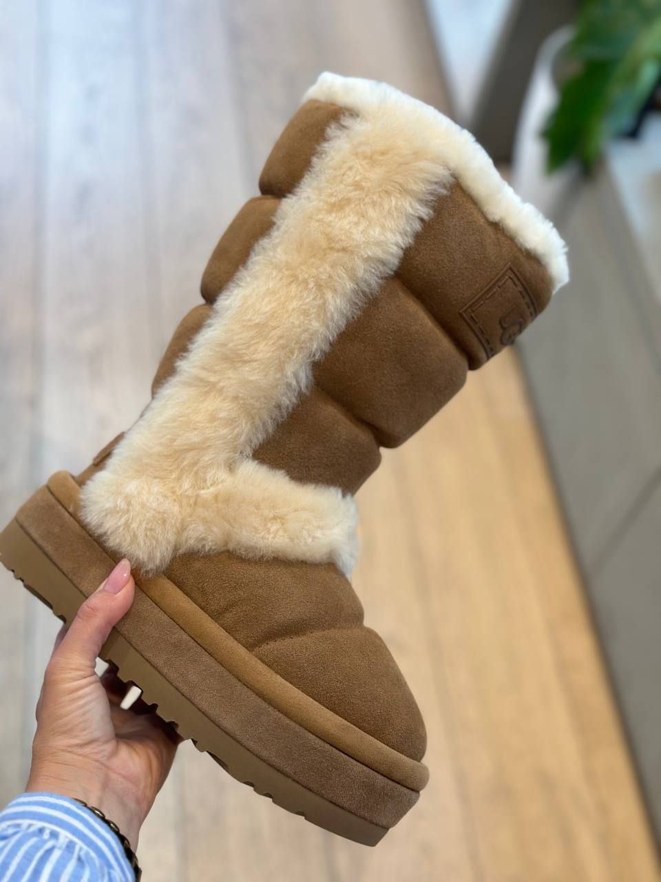 Сапожки UGG