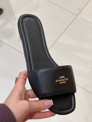 Шлепанцы Coach