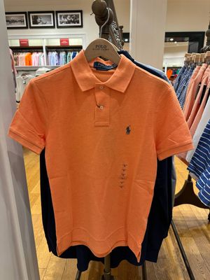 Мужское поло Polo RL