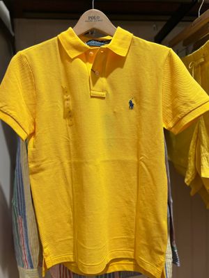 Мужское поло Polo RL