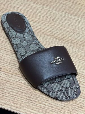 Шлепанцы Coach