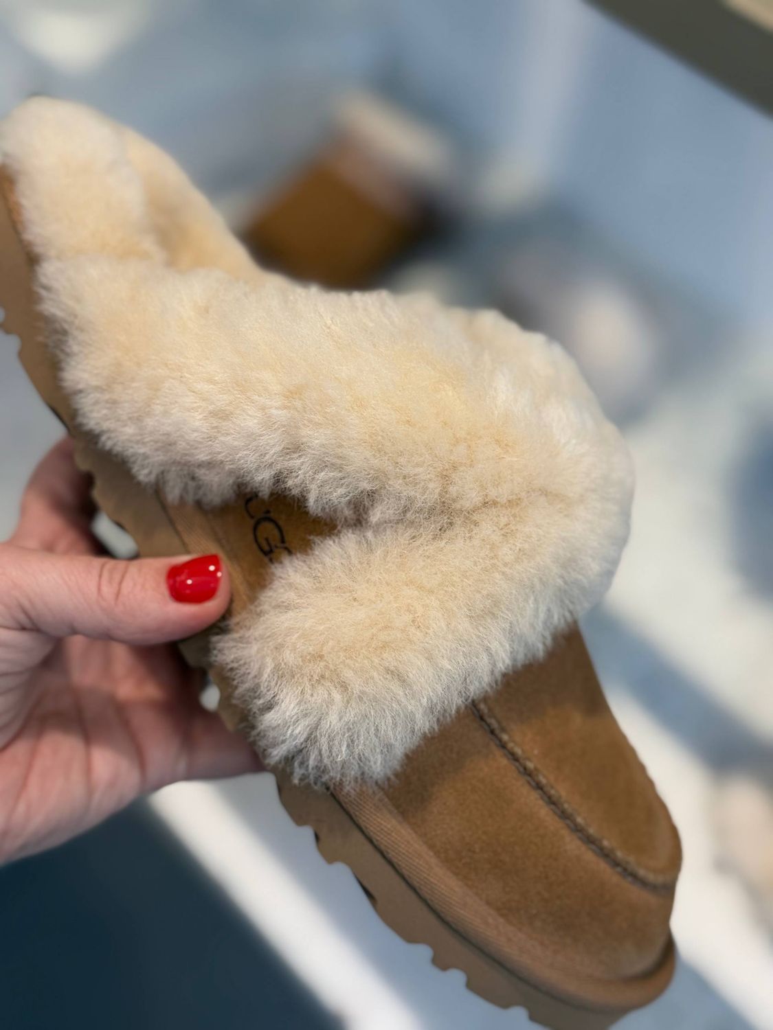 Тапочки-мюли UGG