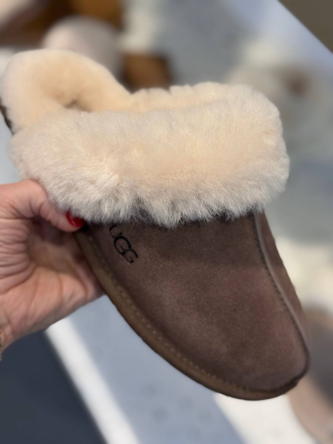 Тапочки-мюли UGG