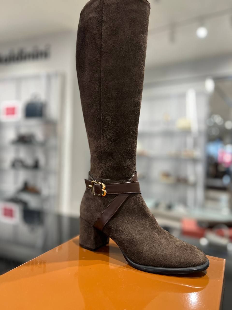 Сапоги Baldinini