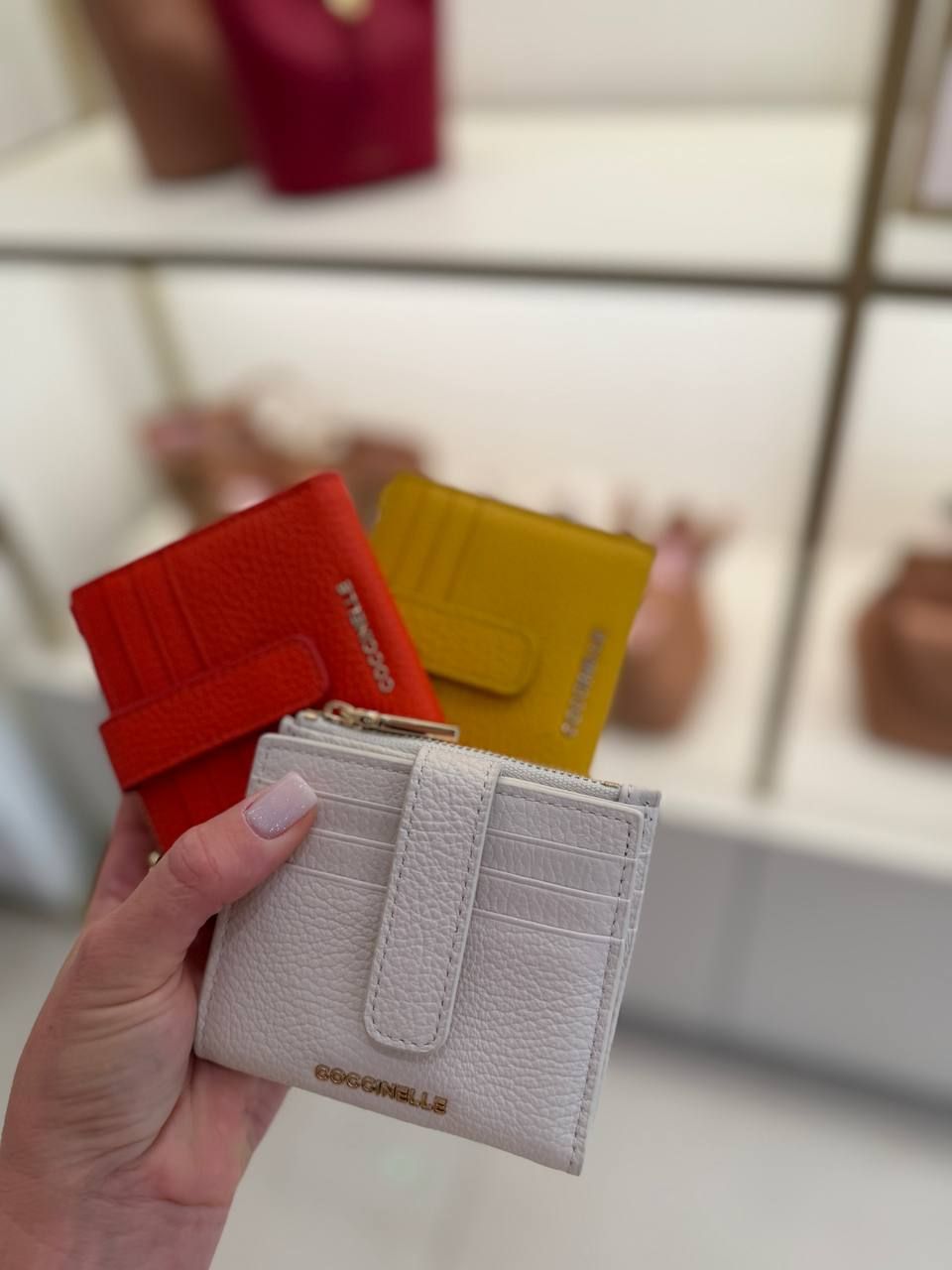 Кошелек Coccinelle