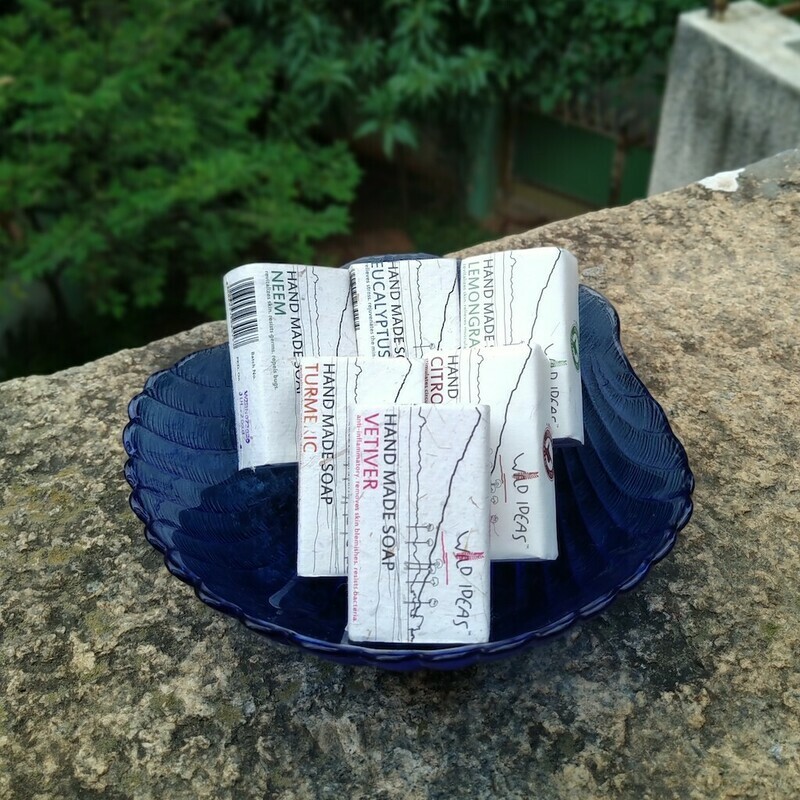 Wild Ideas Body Soap | Minis [Set of 6]