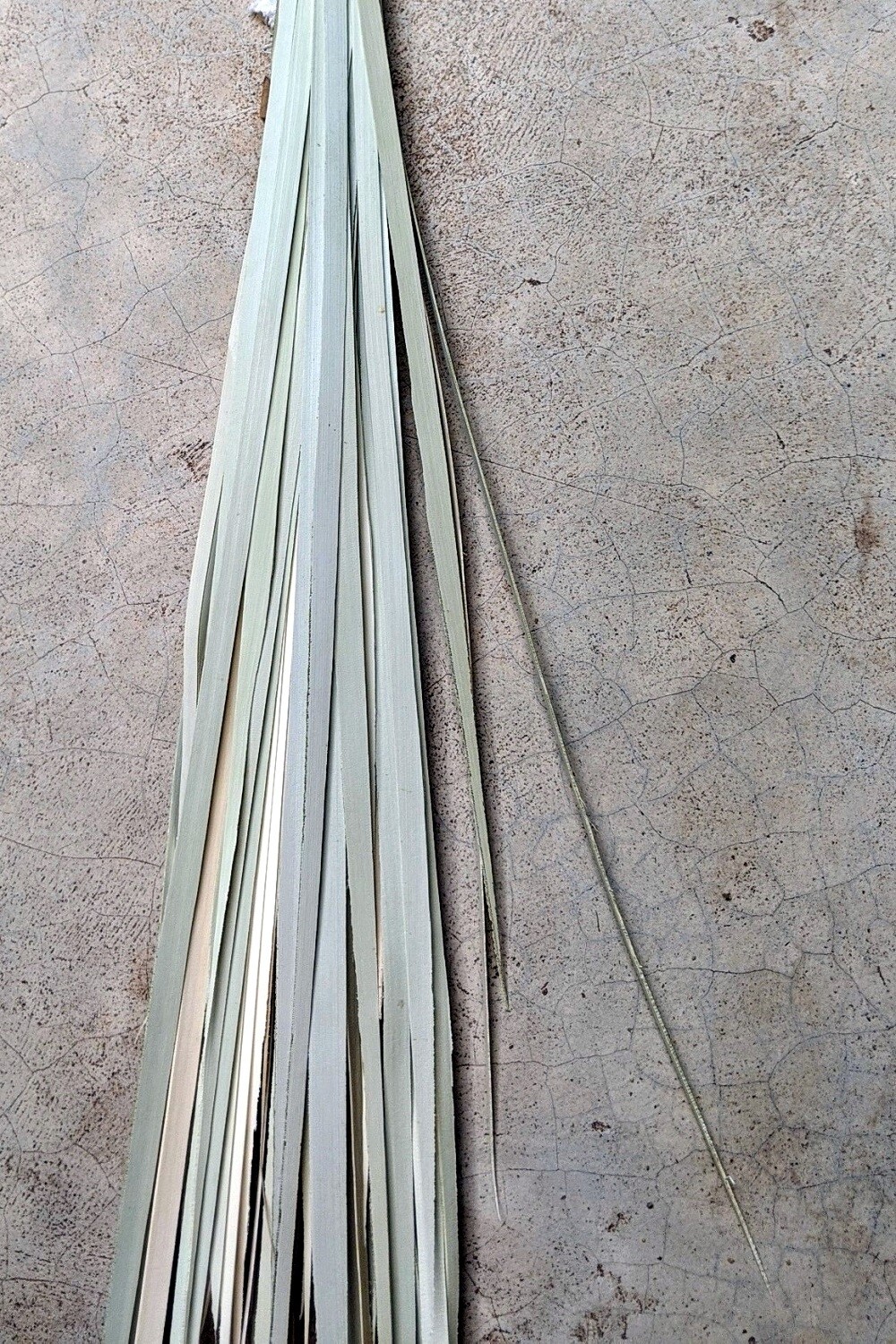 Table Mats [Natural Hues]-Set of 4, Natural Hues: Mature White (NH00)