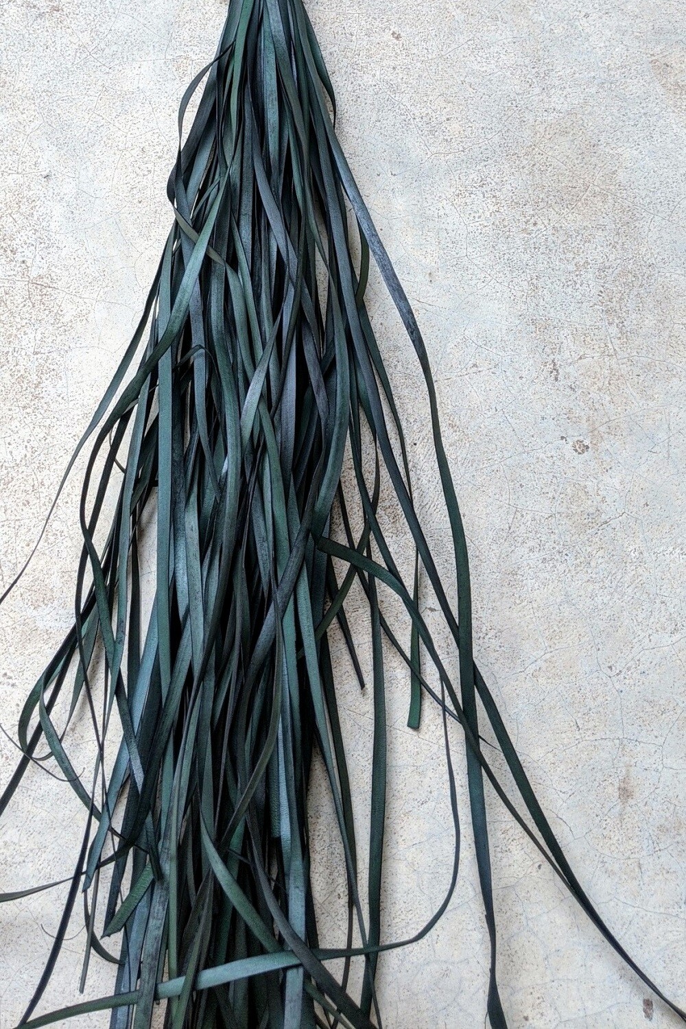 Laundry Basket [Rainforest Hues], Rainforest Hues: RH02 Medium Green
