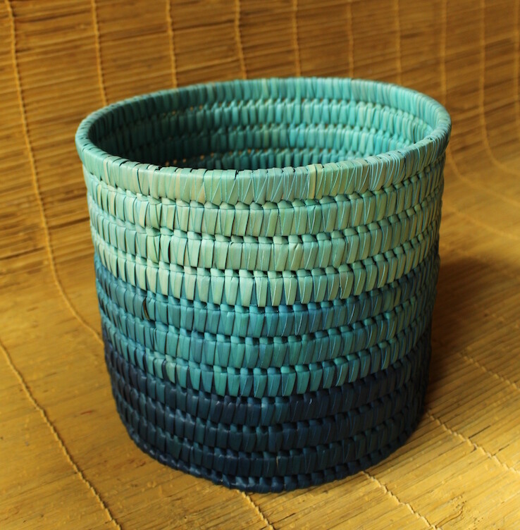 Dustbin Round - Rainforest Hues