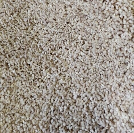 SOFT SAND (CALIFORNIA)