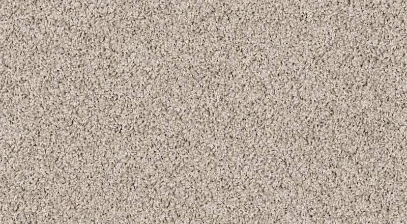 TASTEFUL TAUPE (OREGON)