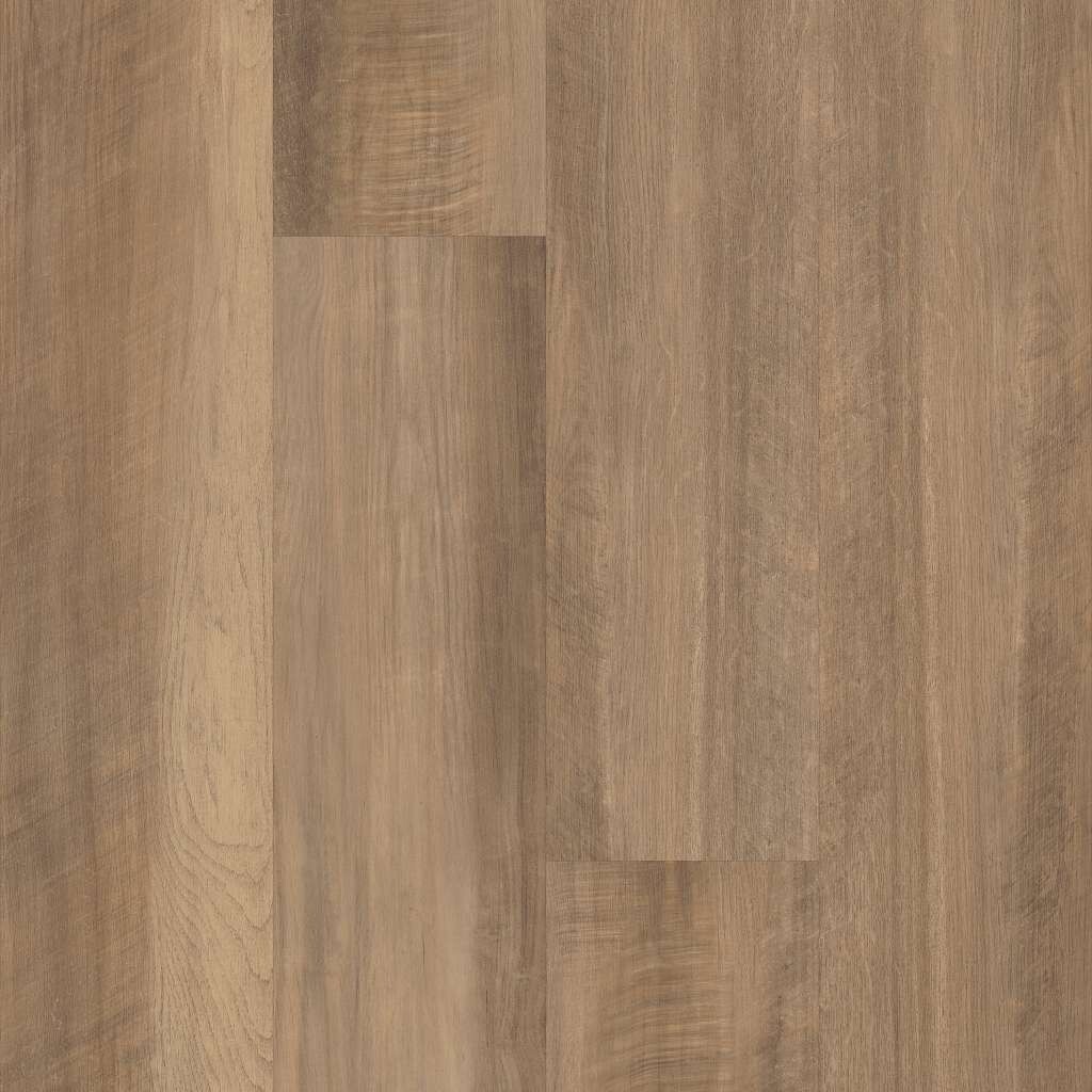 TAWNY OAK (CA BAY AREA)