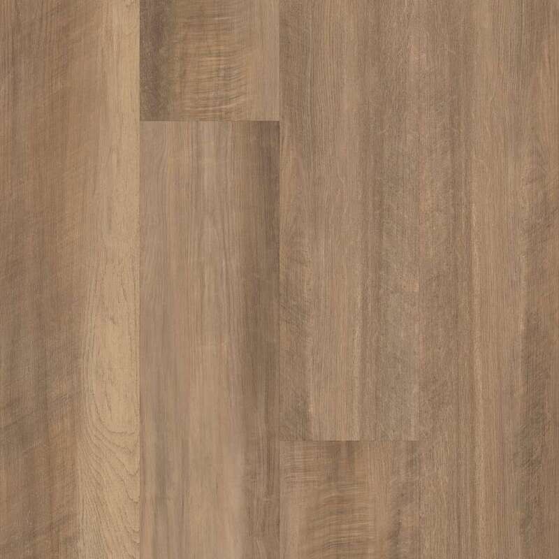 TAWNY OAK (CA BAY AREA)