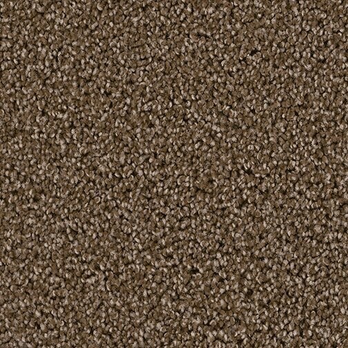 TS BLACK WALNUT (CALIFORNIA)