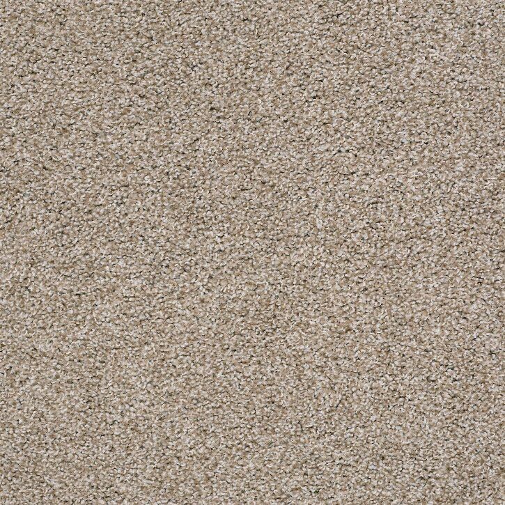 QUIET TAN (CA BAY ONLY)