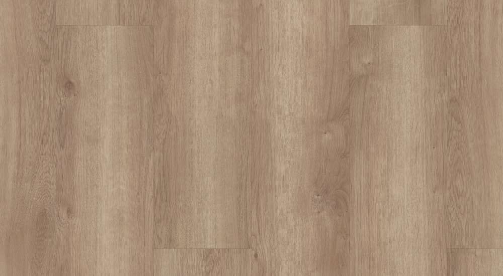 COPANO OAK (CA BAY ONLY)