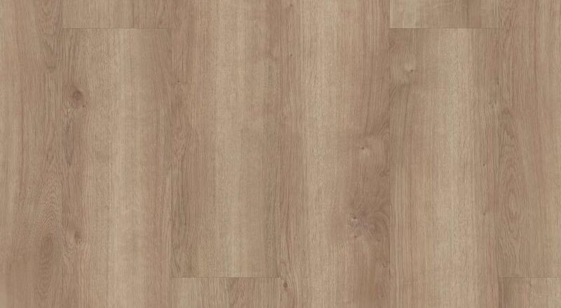 COPANO OAK (CA BAY ONLY)