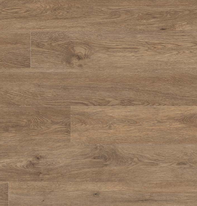 SADDLE OAK