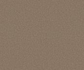 CONQUEST SOLID SIERRA