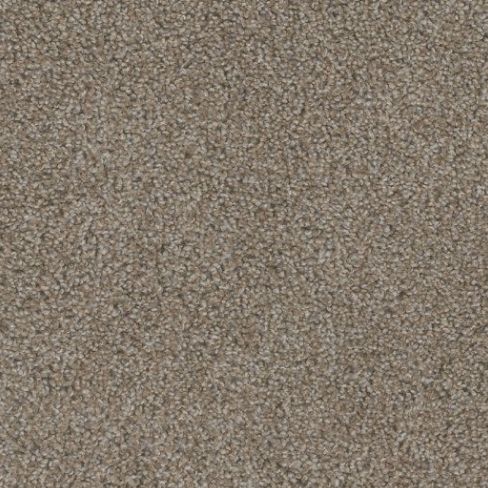 SHOAL CREEK THISTLE DOWN