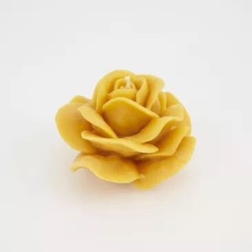 Rosa maxi