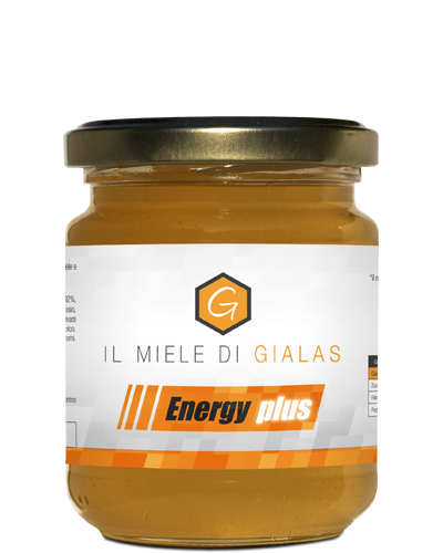 Energy Plus