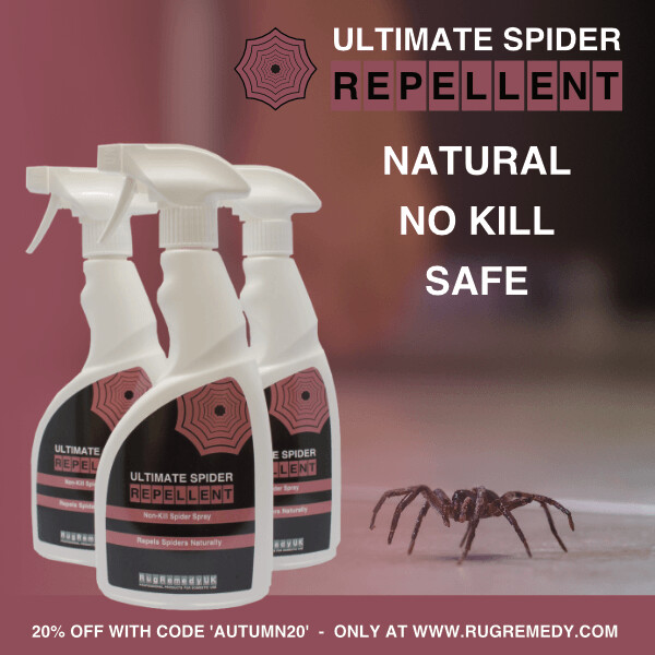 NEW!! Spider Repellent