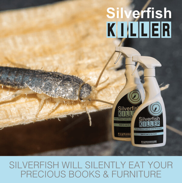 Silverfish Killer