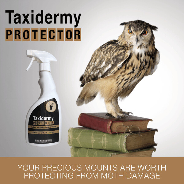 Taxidermy Protector bottle with an image of a taxidermy owl mount sitting on two books.