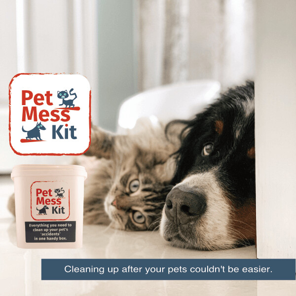 dog cleaning kit
