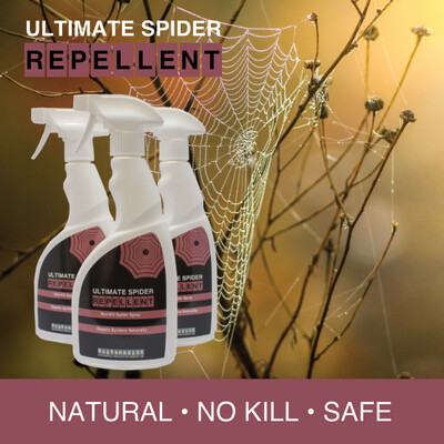 Ultimate Spider Repellent