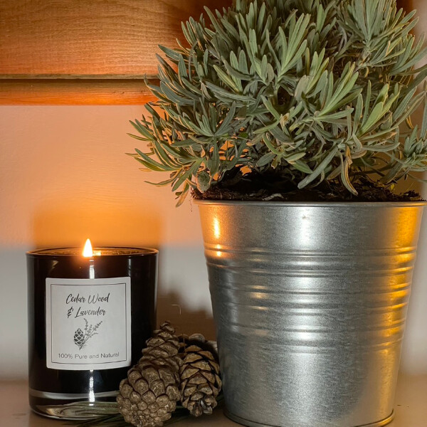 Insect Repellent Scented Candles