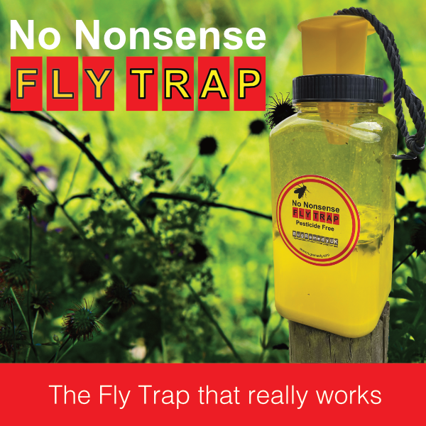 No Nonsense Fly Trap - Pack of 2 Traps
