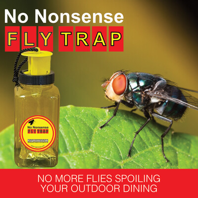 No Nonsense Fly Trap - Pack of 2 Traps