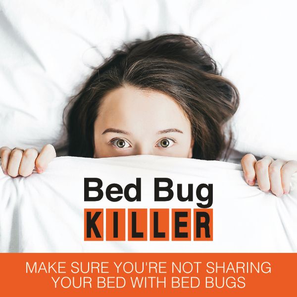 Bed Bug Killer