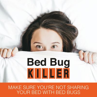 Bed Bug Killer