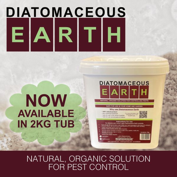 Diatomaceous Earth