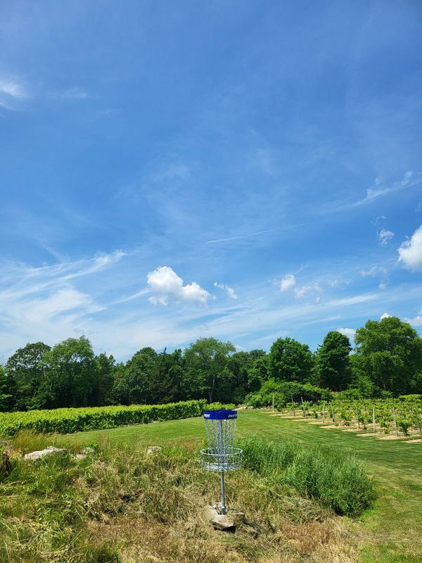 Disc Golf Annual Membership