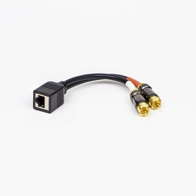 Set of 4 Adapters, Dual RCA Male to RJ45 Female