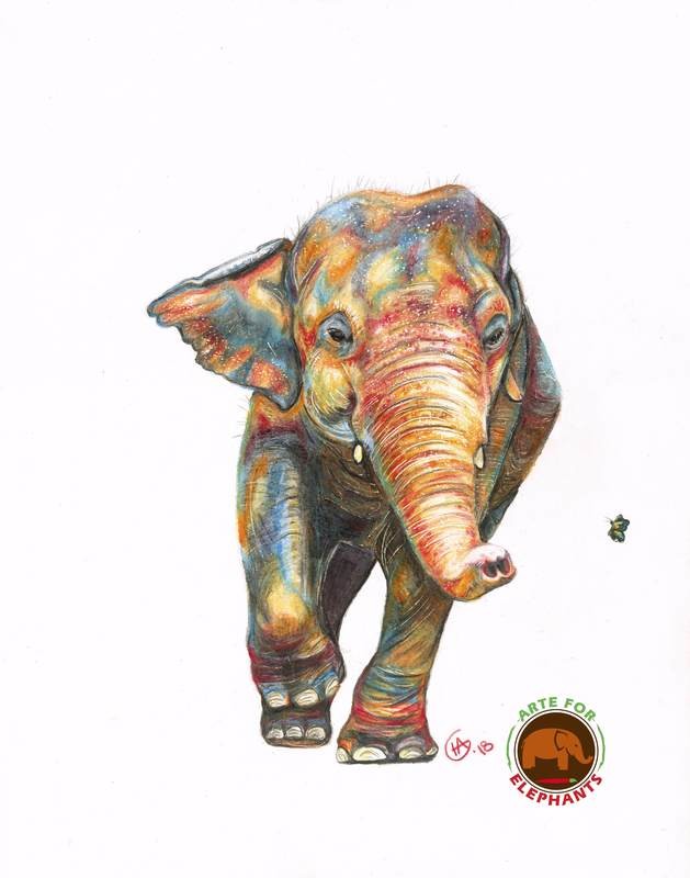 Free Kaavan Large Fine Art Print
