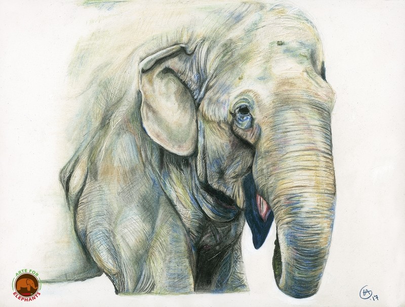 Tamy&#39;s Smile Large Fine Art Print