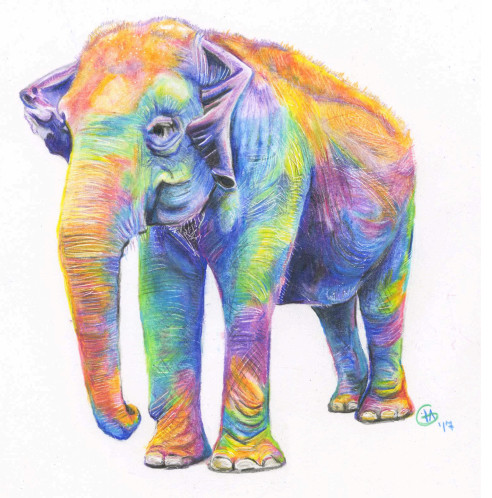 Rainbow Maia Large Fine Art Print