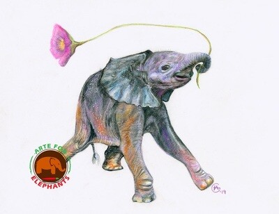 Fine Art Greeting Cards