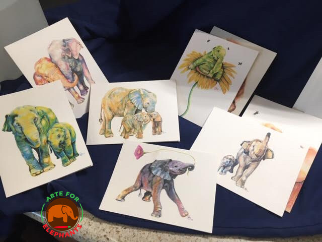 ALL NEW DESIGNS- SET OF 8 Charming Elephant Cards- 8 Assorted Elephant Portraits 4 x 6 inch cards!