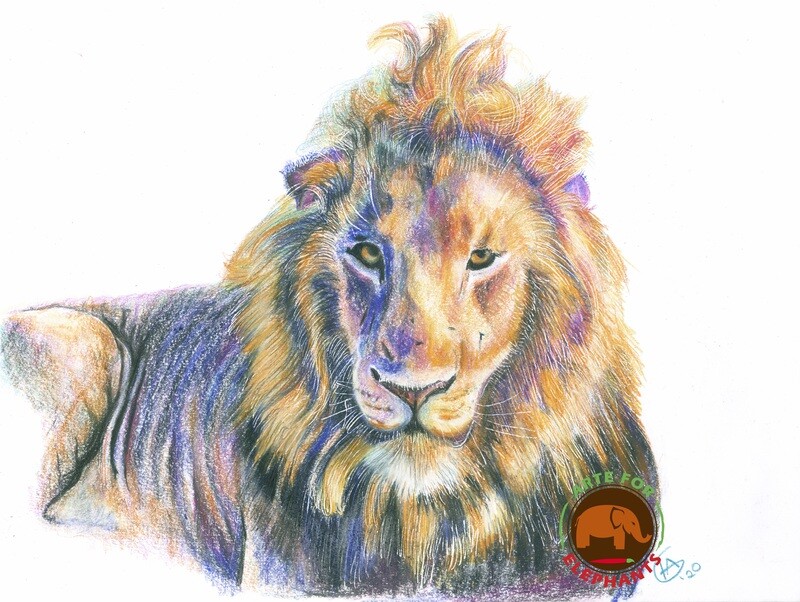 Ollokol- King of the Mara Large Fine Art Print