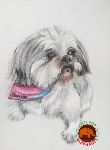 Pet Memorial Portrait- Colored Pencil on Paper